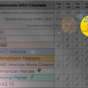 Zoomed in preview image of our comparison guide of DISH TV packs. Created 2021. Up-to-date and triple cross-referenced to ensure validity of information.