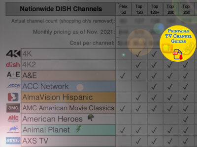 Zoomed in preview image of our comparison guide of DISH TV packs. Created 2021. Up-to-date and triple cross-referenced to ensure validity of information.