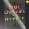 DISH-Network-Channel-Lineup-2021-Numeric-PREVIEW