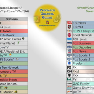 Vidgo List of Channels — Zoomed in version. Our print-friendly Vidgo channel lineup PDF makes it easy to see all Vidgo live stations. Also compare the two main plans (Premium and Plus). Image shows large print size (font) and color coding of Vidgo TV stations by genre.